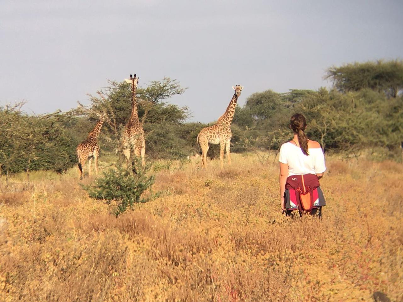Maasai Simba Camp Ξενοδοχείο Amboseli Εξωτερικό φωτογραφία